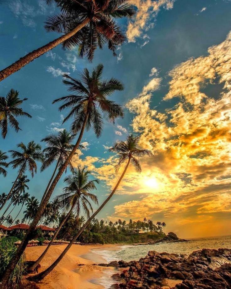 Samans Guesthouse Tangalle Dış mekan fotoğraf